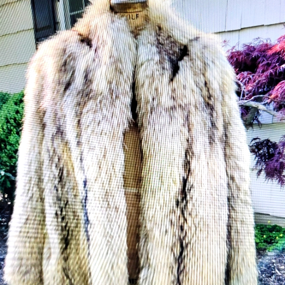 Stylish raccoon fur coat (m)